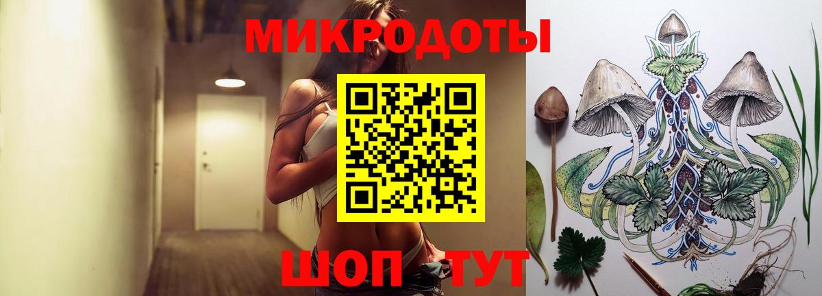 Галлюциногенные грибы Psilocybe Михайловка