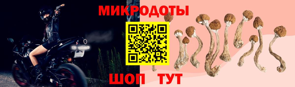 Галлюциногенные грибы Magic Shrooms  даркнет сайт  Вход с VPN  Михайловка  Псилоцибиновые грибы ЛСД 